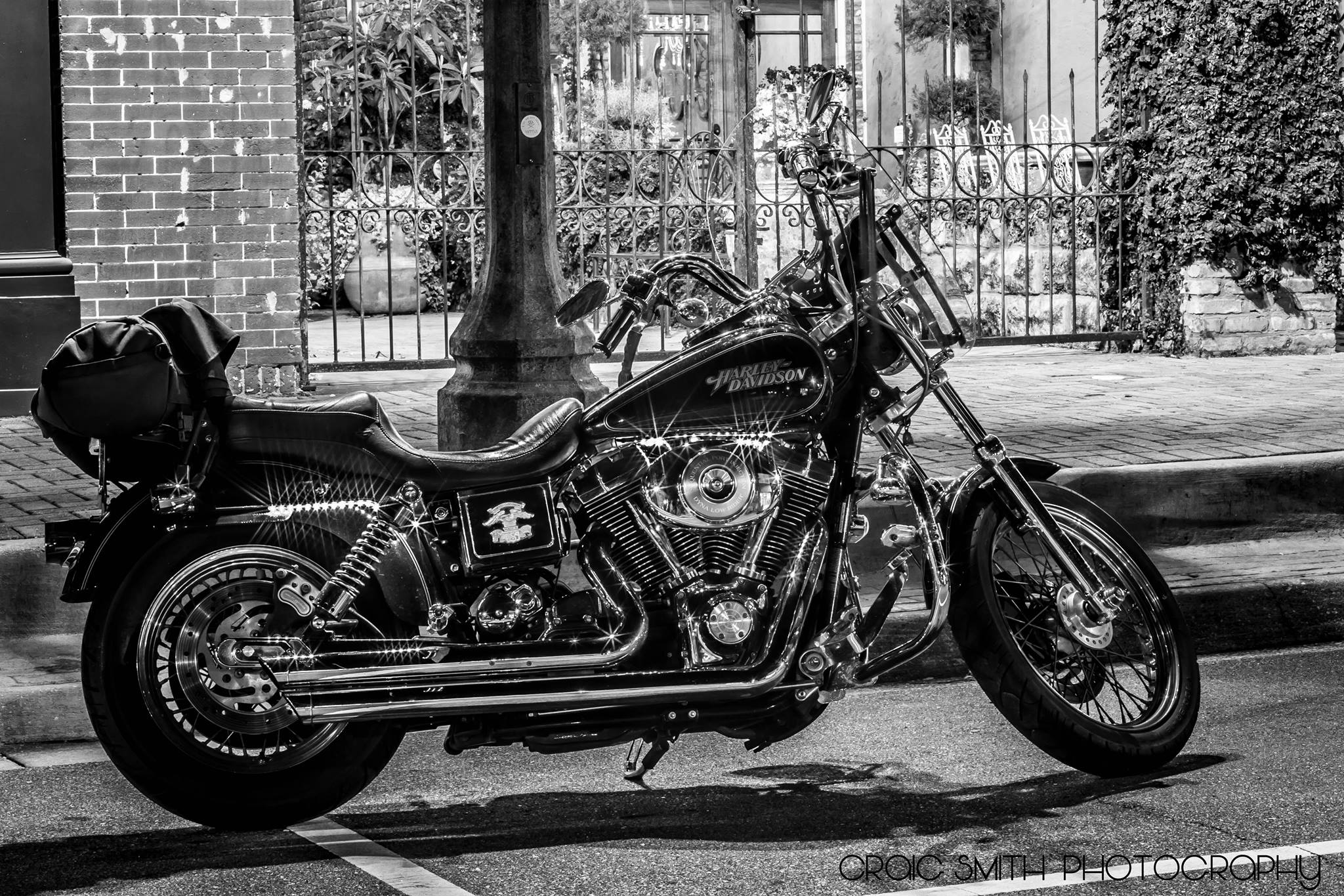 Harley -  by Craig Smith